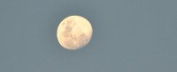 /album/fotogaleria-inicio/luna-jpg/